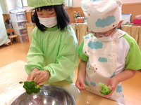 �������������å�����ڤ֤���