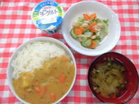 �����������졼�顼�����