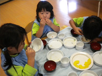 �����������ʤΤϤʣ�