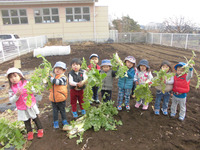 �����������������