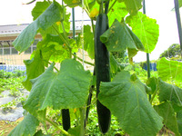 �������������夦��