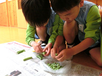 ������������भ����