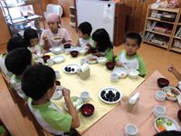 ������������⣴