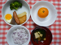 �Ǥ󡡥֥��å��꡼���ߤ���