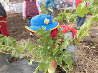 ����������������󣱣�