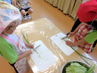 5.30 ひま17 包丁4