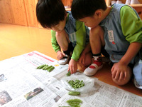 ������������भ����