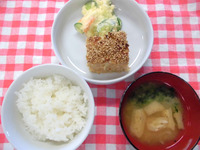 £·¡¥£±£±¡¡¤´¤Ï¤ó¥À