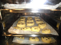 �������������ѥ�