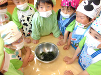 �������������å����狼�ᣱ