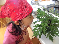 ��������������⤮��