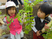 �����������������