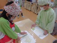 ����������������