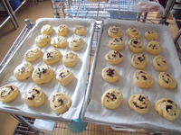 �������������ѥ�