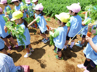 ¿Í»²·¡¤ê£±