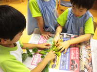 ������������भ��