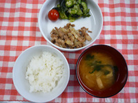 ���Ϥ󡡤ߤ������ڤ���ժ�Ƥ��������饵������ߥ˥ȥޥȡ�