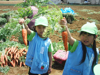 ¿Í»²·¡¤ê£¶