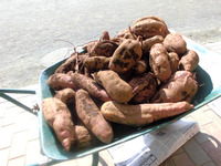 ��������������