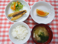 ���Ϥ󡡤ߤ��������ФΥ��졼ε���Ȥ�������ߡ������