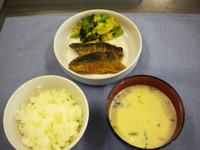 �������������Ҥ���