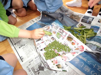 ������������भ����