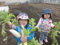 �����������������