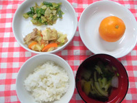 �����������������ߤ���