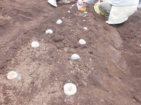 ������㤬��