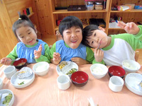 ���������������ߣ�