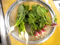 �����������ϤĤ��纬