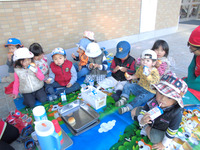 �����������������