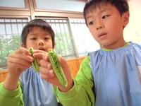 ������������भ��