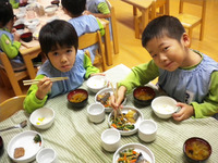 ��������������⣴