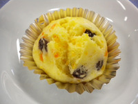 ���������������ѥ󥢥å�