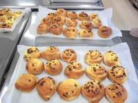 �������������ѥ�