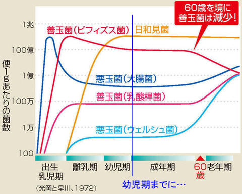 名称未設定 3