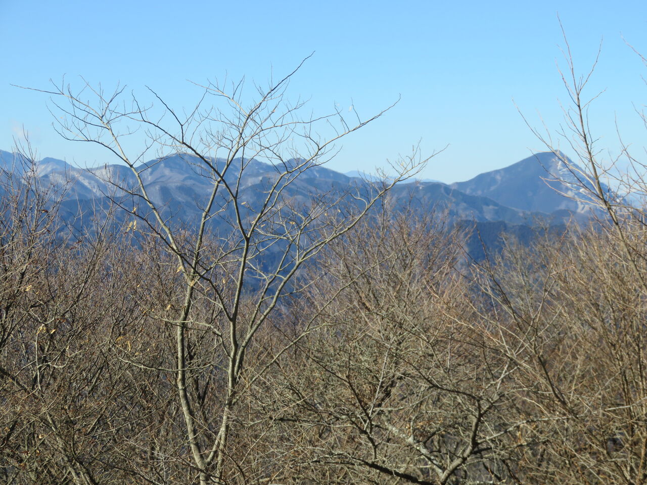 高山不動からユガテ 杉林と花粉が奥武蔵の魅力 それなりに眺めも Tsu さんの山旅blog 高山不動からユガテ 杉林と花粉が奥武蔵の魅力 それなりに眺めも Tsu さんの山旅blog