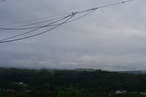 IMGP7970