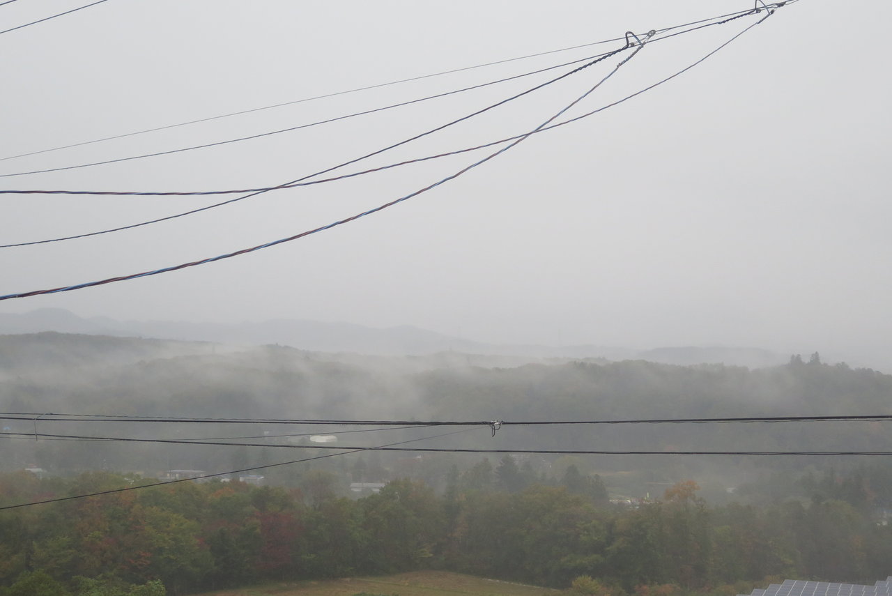 霧に包まれる森 高台からの観天望気 霧に包まれる森 高台からの観天望気