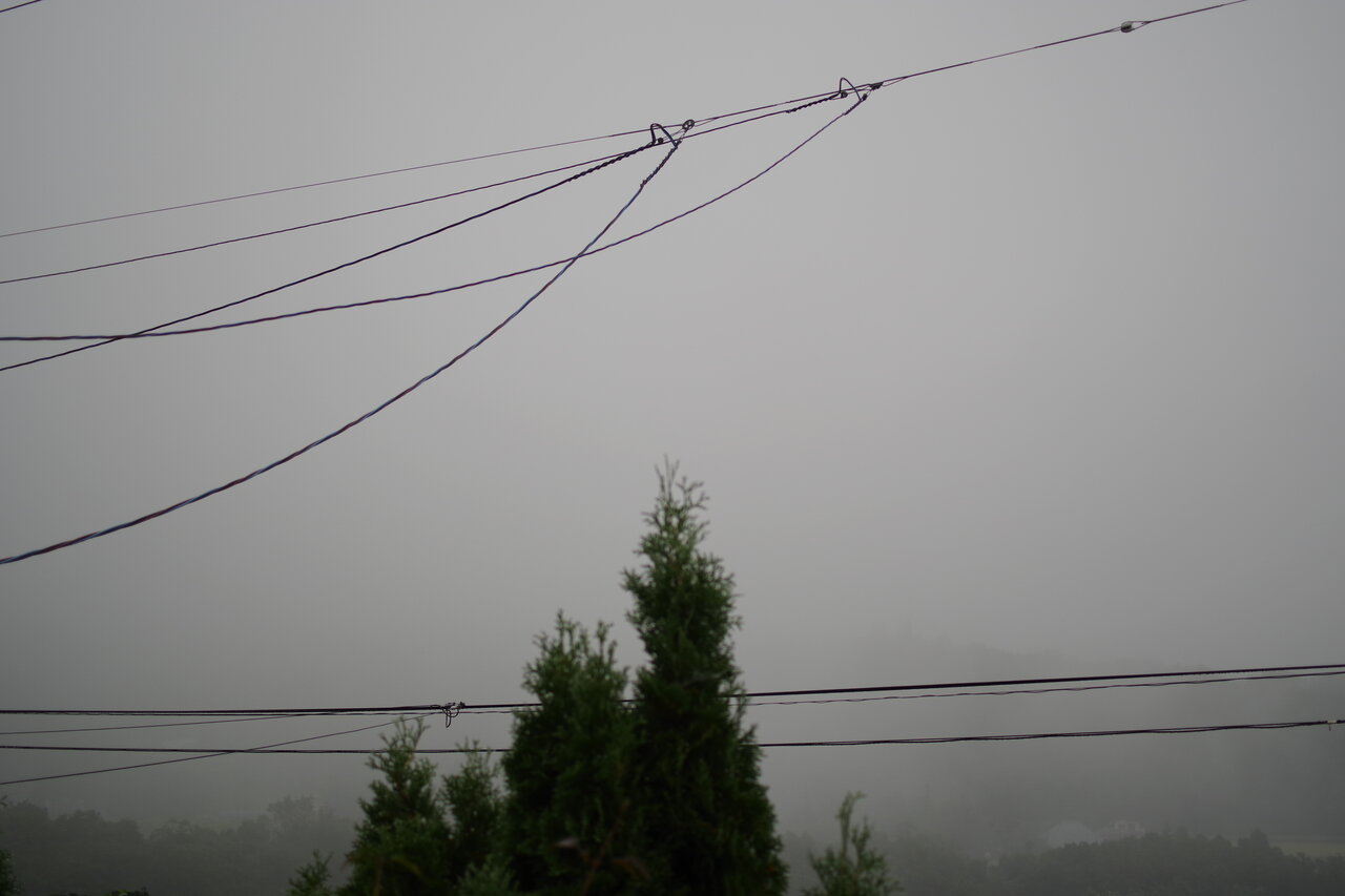 霧雨の朝 高台からの観天望気