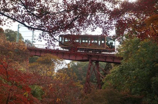 神應寺 紅葉まつり-15
