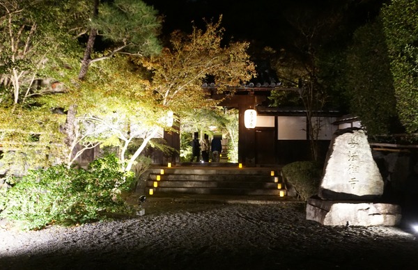 善法律寺 ライトアップ-1