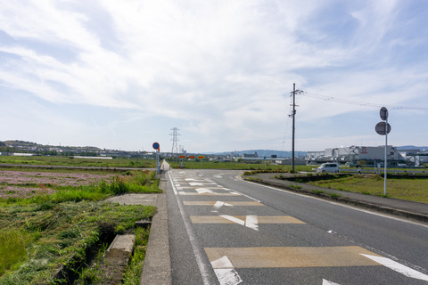 内里 レンゲ-2304234