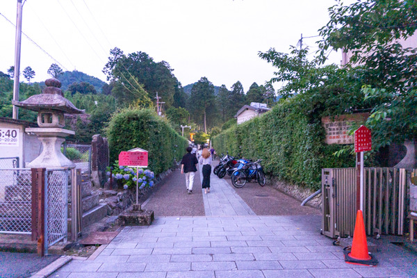 三室戸寺 あじさい -230618-2