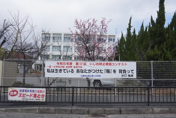 男山第二中学校 梅-3