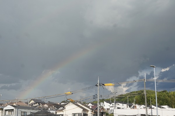 橋本 虹 -2023年8月27日-3