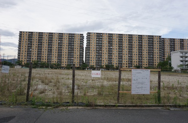 楠葉花園町43階建てタワマン 2024年6月-1
