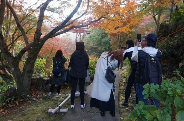 神應寺 紅葉まつり-14