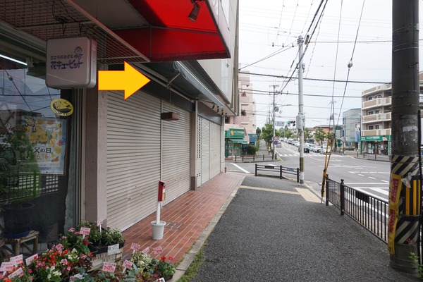 男山泉 ツバメの巣-2